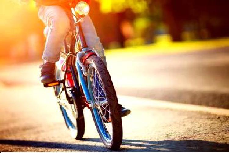 Езда на велосипеде по городу и связь с городской дикой природой
